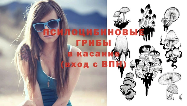 трава Майский