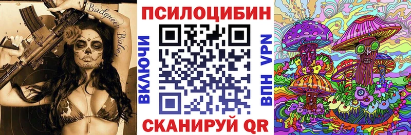 Псилоцибиновые грибы мицелий  omg   Луга 