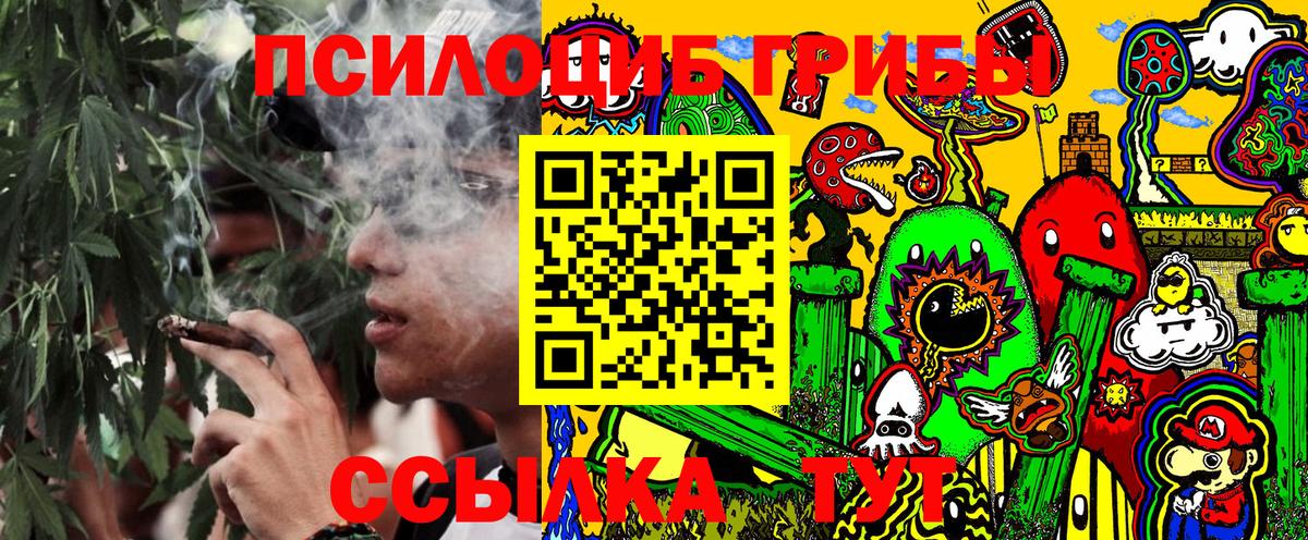 Псилоцибиновые грибы прущие грибы  Вход с VPN  Луга 