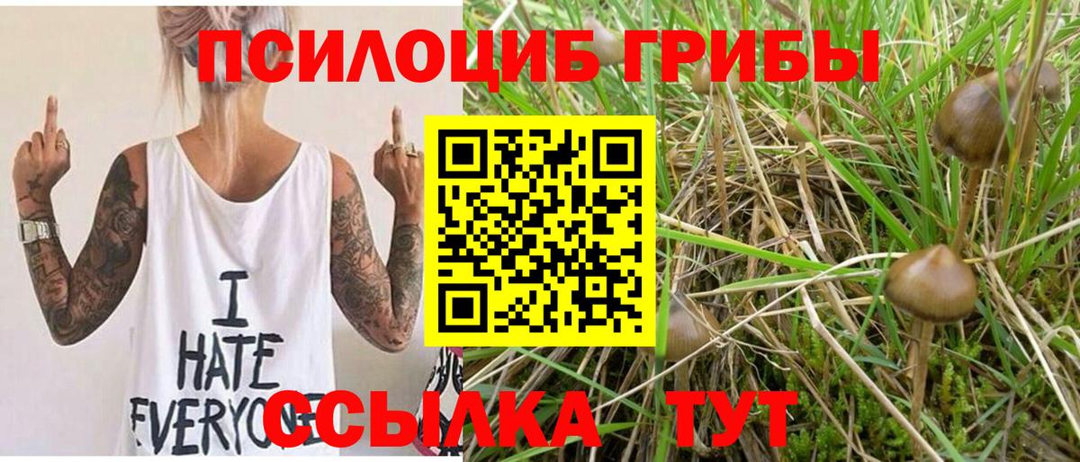 Псилоцибиновые грибы прущие грибы  Псилоцибиновые грибы мухоморы  Луга 