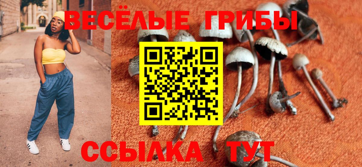 Псилоцибиновые грибы MAGIC MUSHROOMS Луга